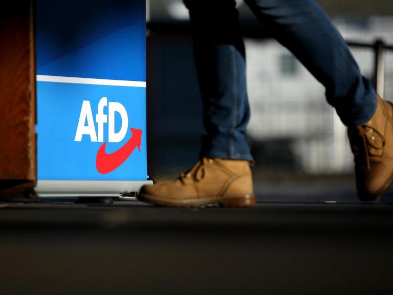 AfD member accused of saying 'natural selection' behind lack of women in party