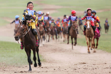 mongolian horse race