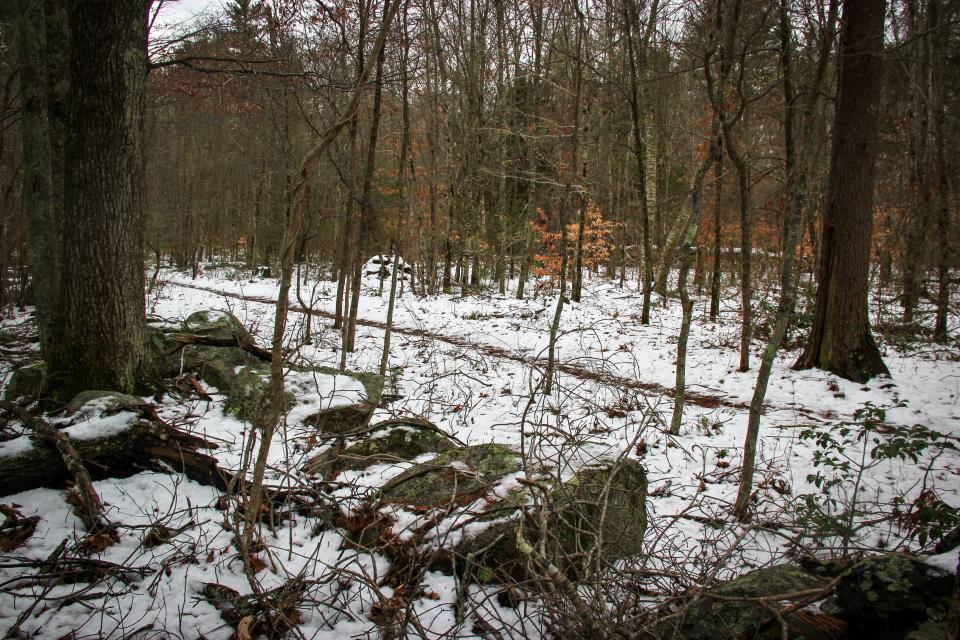 A hiking trail cuts through the Southeastern Massachusetts Bioreserve, easy to see in the snow.