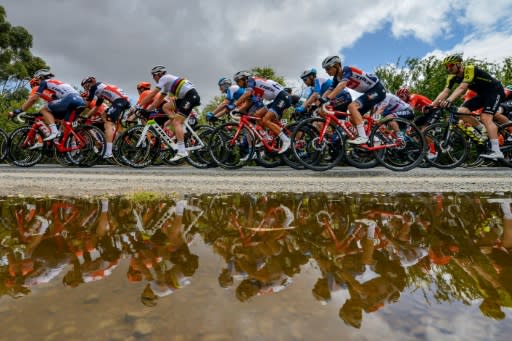 The peloton rides near Cudlee Creek during third stage of the Tour Down Under in South Australia