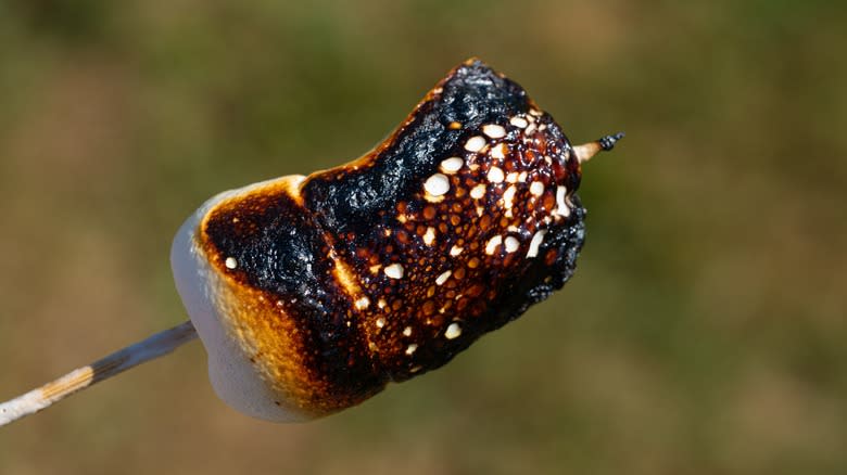 burnt marshmallow on a stick