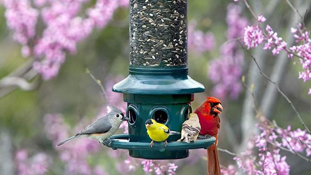 Panorama Bird Feeder,Hanging Gazebo Wild Bird Feeder -Perfect for Garden  Decoration and Bird Watching for Bird Lover