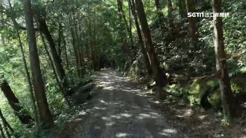 藤枝森林園區有「南台灣小溪頭」之稱，綠意盎然充滿生機。