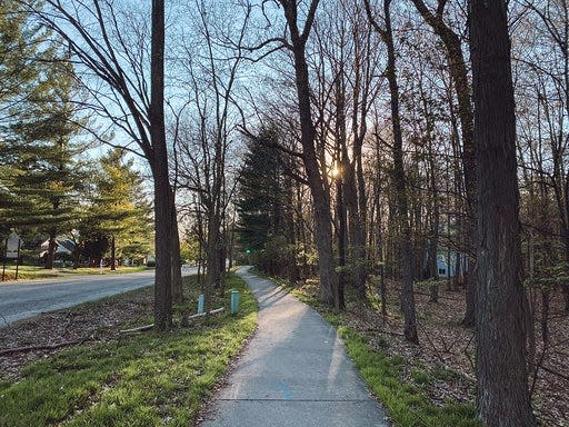 sidewalk trees nature walk michigan outside