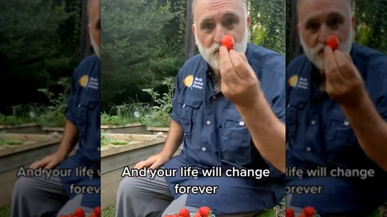 red peeled strawberry