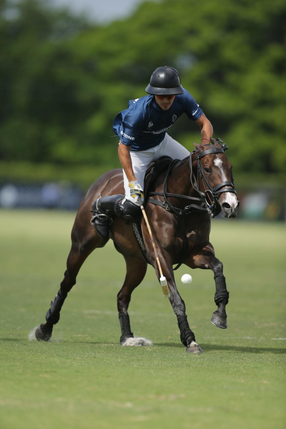 MVP Tomas Panelo led La Dolfina to the 50th USPA Gold Cup Sunday at National Polo Center.