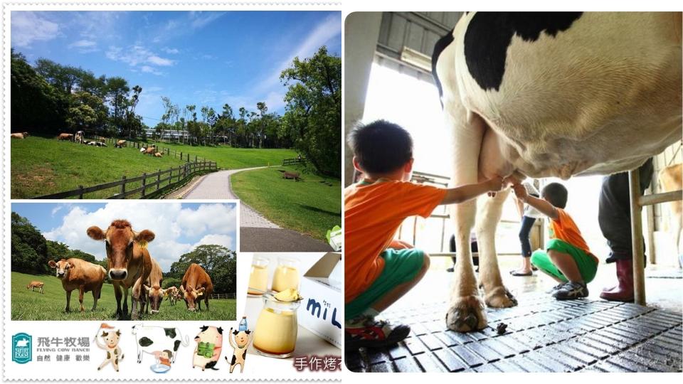 【休閒農場、遊憩園區票券優惠】苗栗飛牛牧場可以體驗擠牛奶的樂趣。