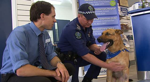 Ink has been given the all clear to head home to continue his recovery. Photo: 7News.