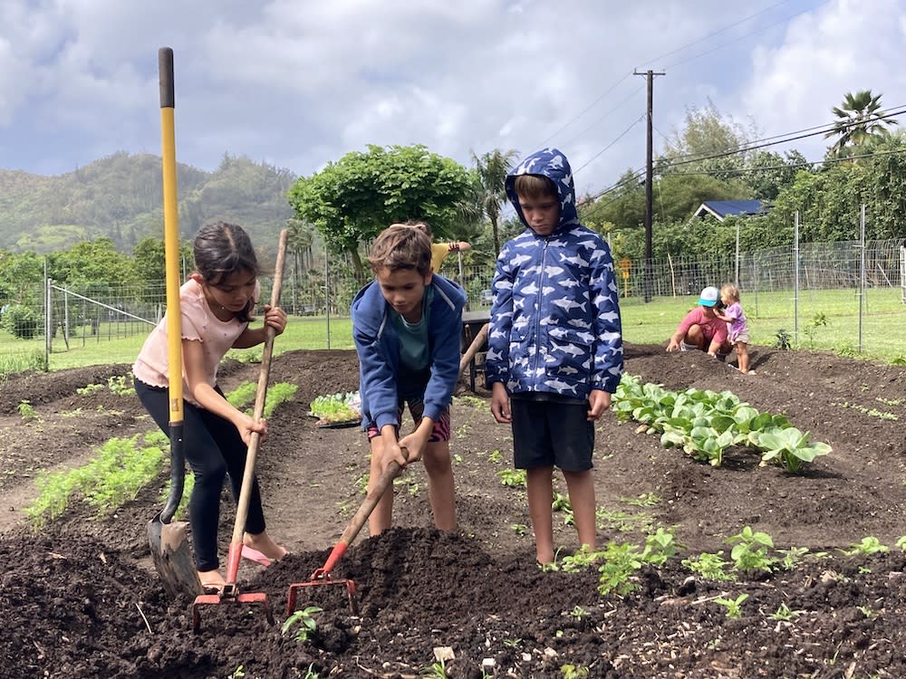 Every week for the semester, The Waipā Foundation, a living learning center and NativeNative Hawaiʻian, runs an after-school program for local kids on Kauaʻi. The program provides space for the kids to: finish their homework, grow food for their families, and other cultural activities. (Photo: Stacy Sproat).