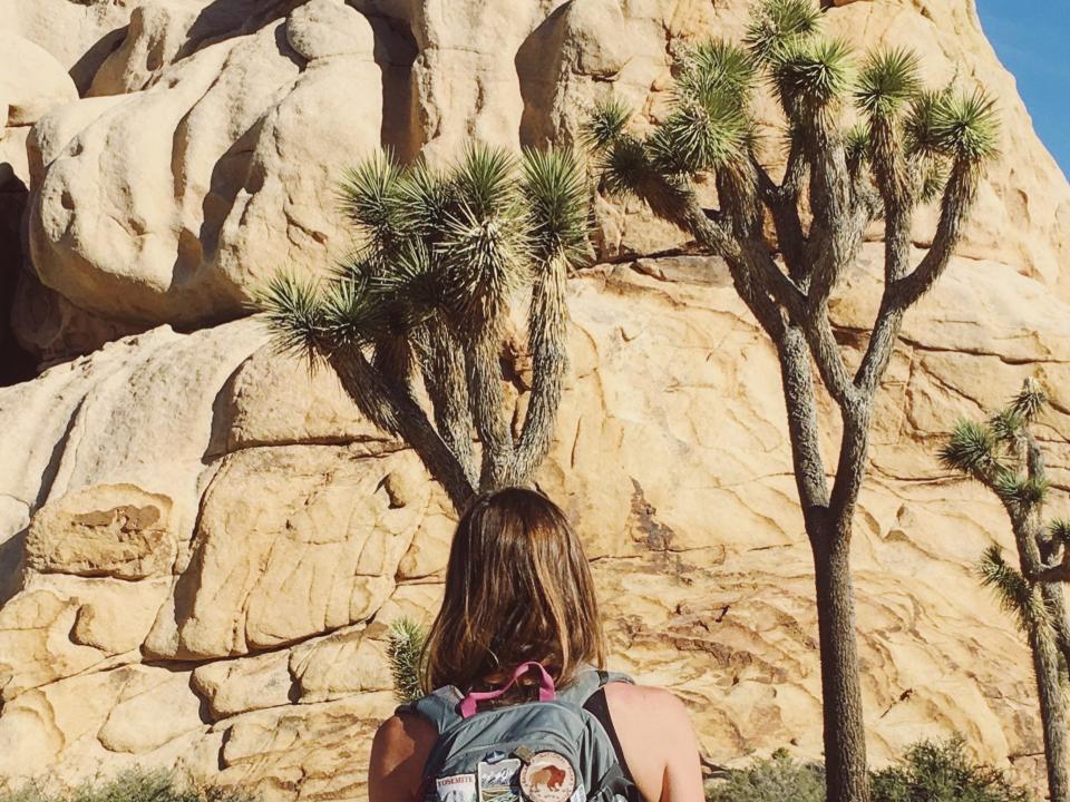 Emily, wearing a backpack covered in patches, looks out at the trees and rock formations at Joshua Tree National Park