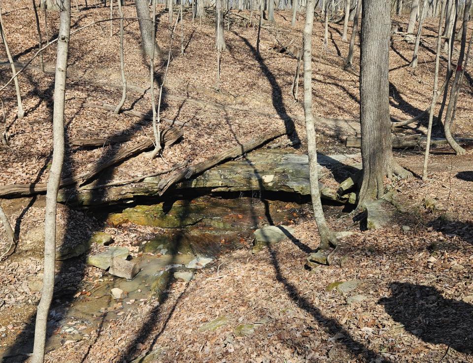 Ranger Joe Bost took hikers on a trip through Buzzard’s Roost Nature Preserve to the cliffs overlooking Paint Creek.