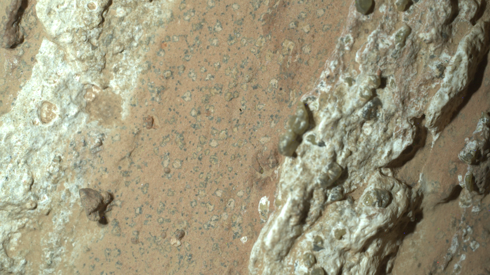  A brownish rock close up. There's a strip of lighter material toward the left and darker material toward the right. There are also darker speckles in the reddish brown center material. 