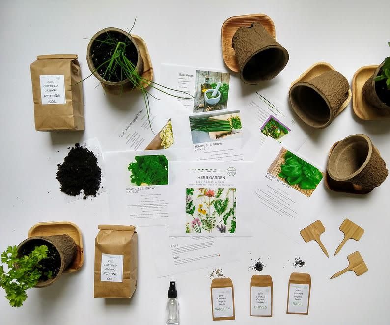 5) Organic Kitchen Herb Gardening Kit