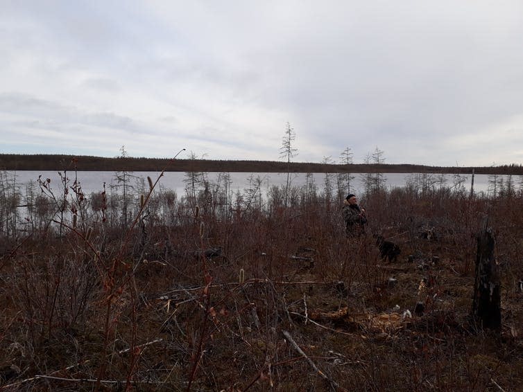 Brown bracken hides a figure in front of a river.