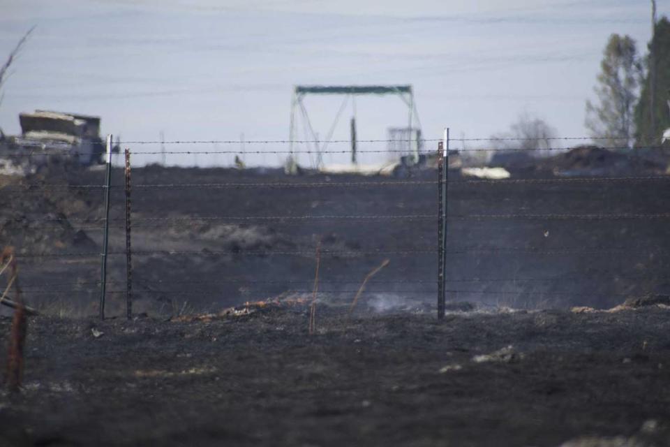 A pasture is seen blackened after a fast-moving grass fire tore east from Eagles Nest Road toward Sunrise Boulevard on Sunday, June 16, 2024. The Excelsior Fire burned more than 800 acres and destroyed at least two outbuildings along Jackson Road.