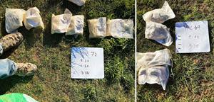Fig 3 (L) Sample bags from hole YAC72; Fig 4 (R) YAC64 showing the sample that assayed 5.41 gm/t Gold