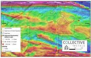 Property Map of Whitemud Lake Showing Structural Corridors Characterized by Magnetic Lows.