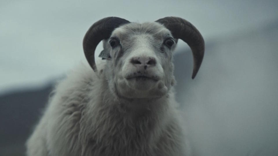 Lamb (2021)