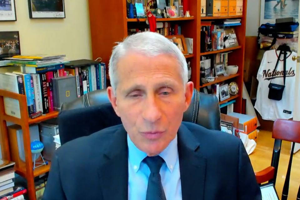Dr. Anthony Fauci appears remotely for a Senate committee hearing.