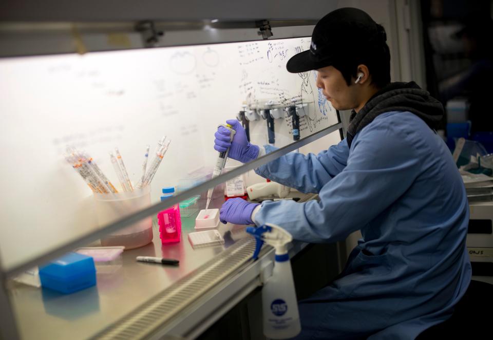 A researcher working with Doctor Paul McKay (unseen), who is working on an vaccine for the 2019-nCoV strain of the novel coronavirus, Covid-19,, uses a pipette expresses coronavirus, Covid-19, onto surface protein to apply cell cultures, in a research lab at Imperial College School of Medicine (ICSM) in London on February 10, 2020. - A team of UK scientists believe they are one of the first to start animal testing of a vaccine for the new coronavirus that has killed more than 1,000 people and spread around the world. (Photo by Tolga AKMEN / AFP) / TO GO WITH AFP STORY BY WILLIAM EDWARDS (Photo by TOLGA AKMEN/AFP via Getty Images)