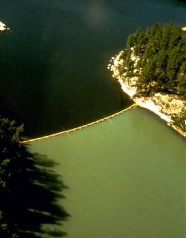 During an experiment in August 1973, Lake 226 in the Experimental Lakes Area in northwestern Ontario is divided by a plastic curtain.  The northeast basin, in the bottom of the photo, has a surface algae bloom clearly evident, a result of added phosphorus. 