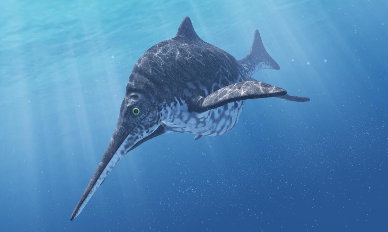 An artist's impression of a Shonisaurus, a type of ichthyosaur. (Getty)
