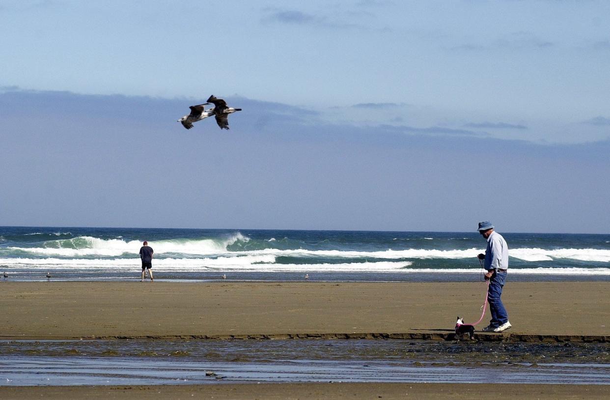 A health advisory has been lifted for D River Beach in Lincoln City.