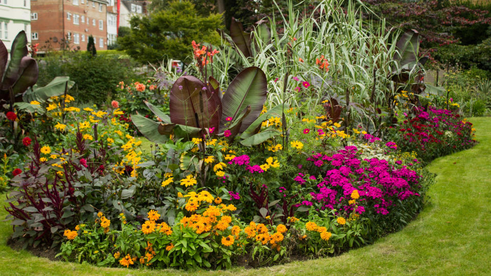 A flower bed filled with flowers of different heights