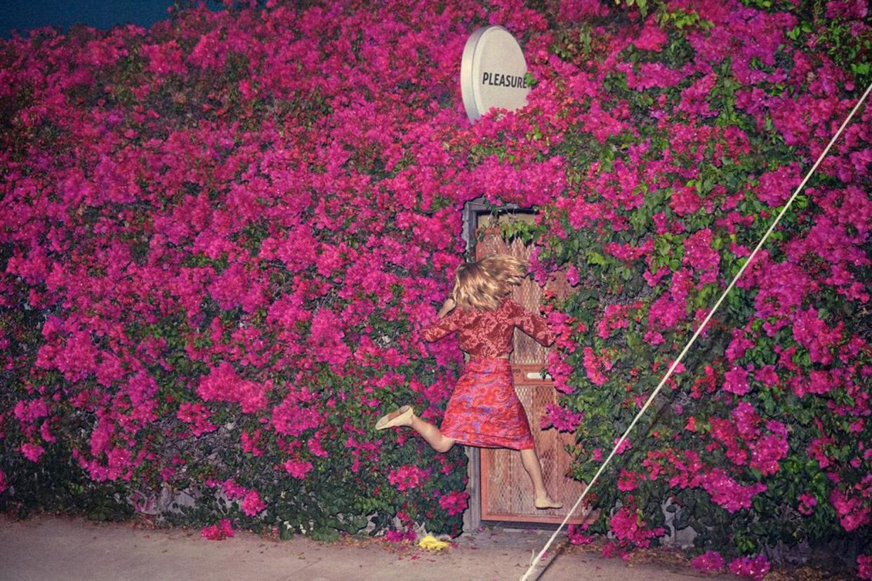 New album: Feist's Pleasure