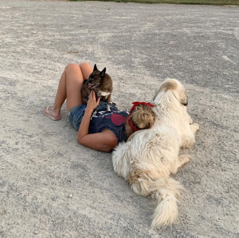 instagram shot of miranda lambert with two of her adopted pets