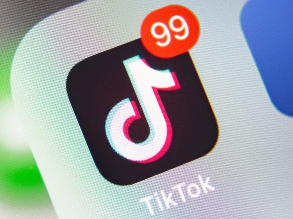 Security researchers warn TikTok user data appears to have been listed on a hacking forum on 3 September, 2022 (Getty Images/ iStock)