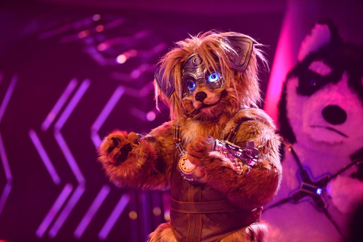 Mit "Crush" (Jennifer Paige) setzte Robodog total auf Gefühl - und überzeugte zunächst. Später fiel jedoch die Maske. (Bild: ProSieben/Julia Feldhagen)