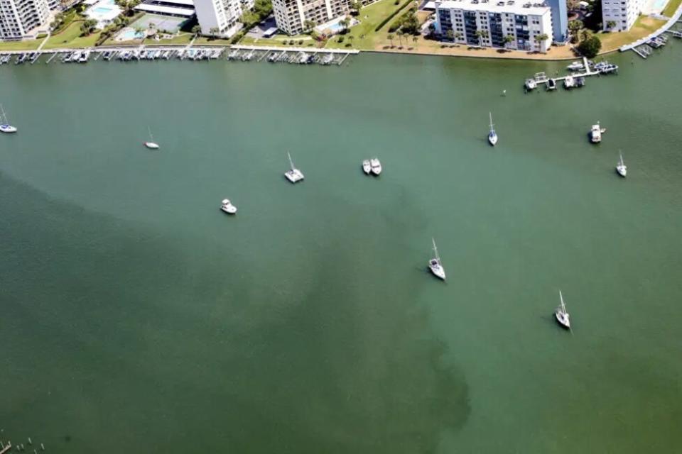 Red Tide Hits Pinellas County