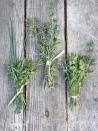 <p>To keep herbs tasting fresh for up to a month, store whole bunches, washed and sealed in plastic bags, in the freezer. When you need them, they'll be easier to chop, and they'll defrost the minute they hit a hot pan.</p>