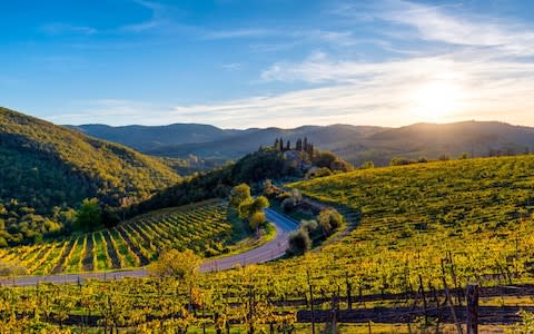 Greve in Chianti, Florence, Tuscany - Credit: Andrea Comi/ Getty Images Contributor