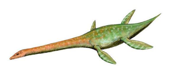 This is an image of what the Attenborosaurus might have looked like.