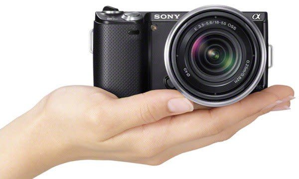 Mirrorless cameras are here to stay