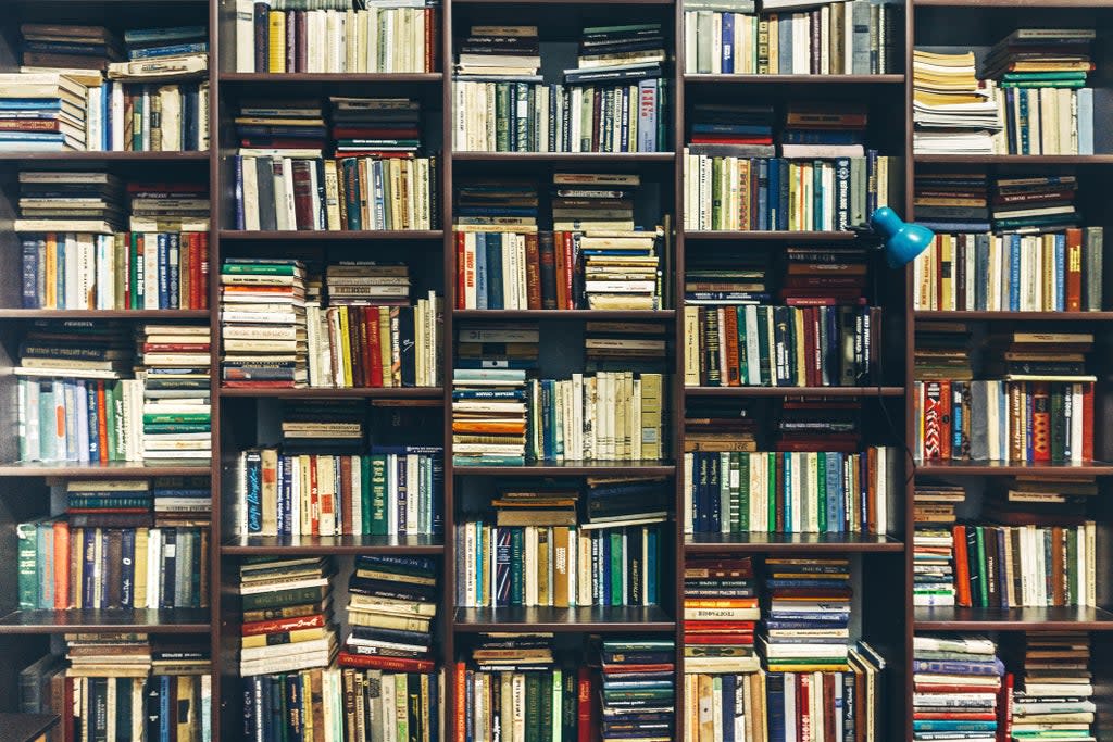 Reading should challenge and confound us; it should take us into the minds and lives of those we don’t like or find hard to understand (Getty/iStock)