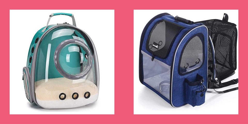 The 8 Best Cat Backpacks for Your Adventurous Feline