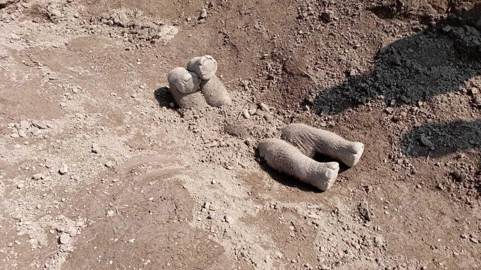 Remains of a baby elephant, with its legs shown above the dirt.