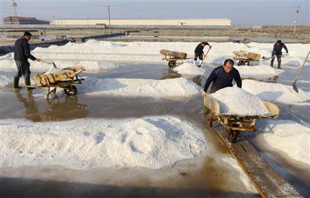 Employees work at a saltern in Rizhao, Shandong province, November 13, 2013. REUTERS/China Daily