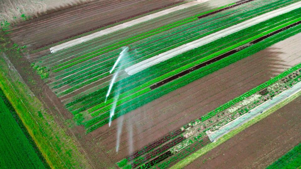 Immer mehr Bewässerung ist nötig. Auch, weil das meiste Wasser in der Hitze verdunstet. (Bild: SWR Presse)