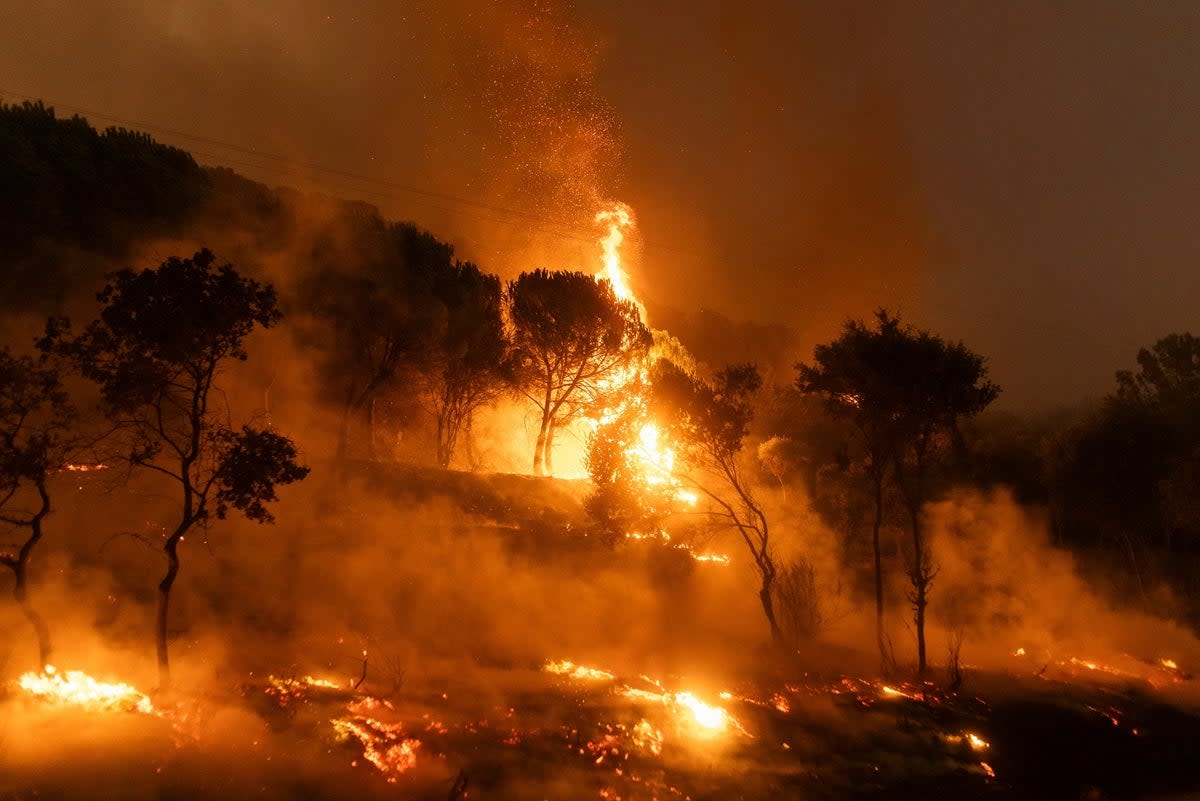 A forest on fire in the village of Dikela, near Alexandroupolis town, in the northeastern Evros region, Greece (Copyright 2023 The Associated Press. All rights reserved)