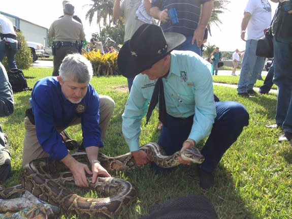 Director Nick Wiley (left) and Commissioner Ron Bergeron with a python.