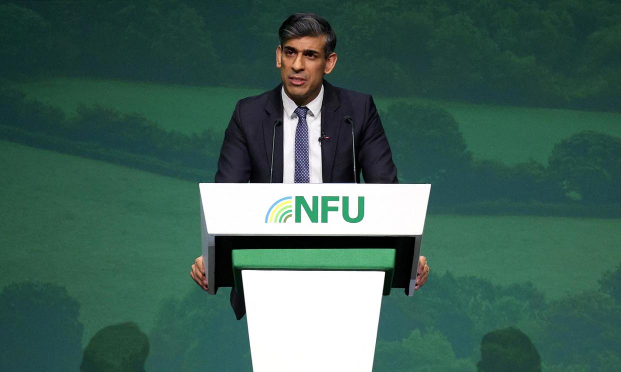 <span>Rishi Sunak addresses delegates at the annual National Farmers’ Union conference.</span><span>Photograph: Reuters</span>