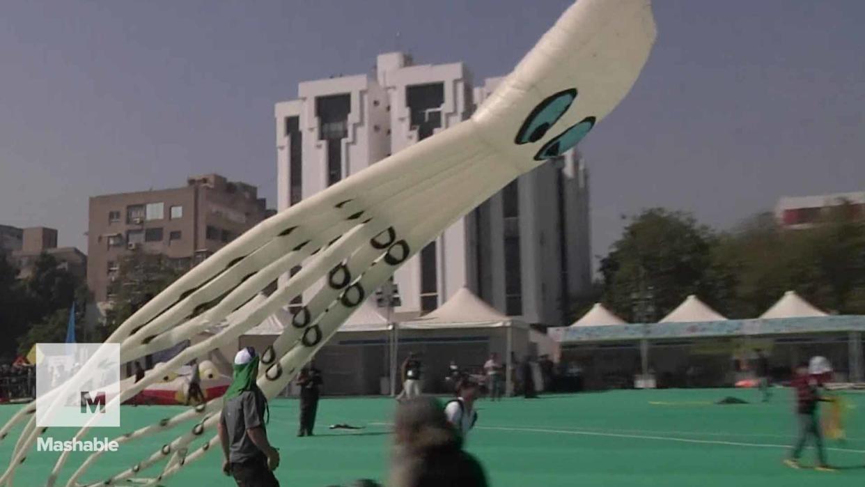 Giant Creatures Fill the Skies for India's Kite Festival