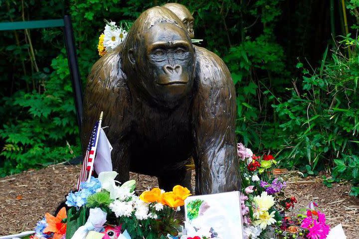 Enough with the Harambe petitions already