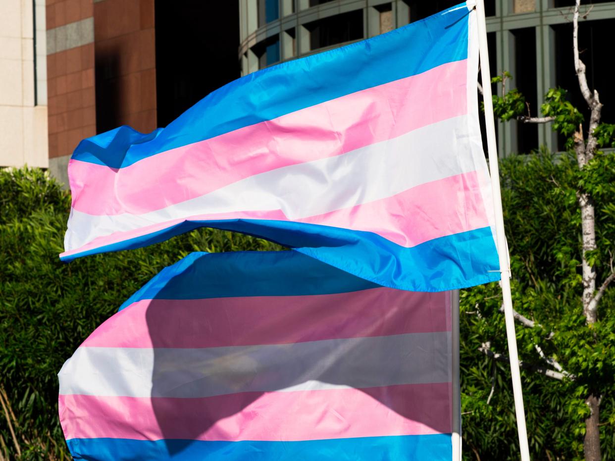 <p>Trans pride flags flutter in the wind at a gathering to celebrate International Transgender Day of Visibility, 31 March, 2017 at the Edward R Roybal Federal Building in Los Angeles, California </p> (AFP via Getty Images)