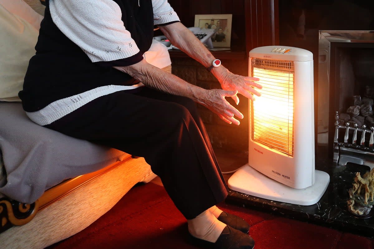 Green doctors offer advice and support with making homes more energy efficient (PA Wire)