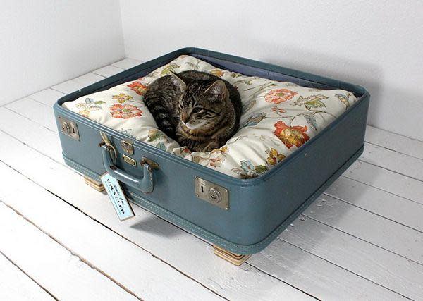 old suitcase fashioned in to a cat bed